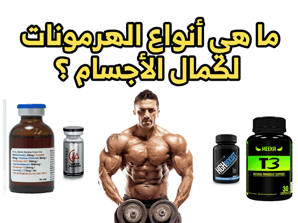 انواع الهرمونات لكمال الاجسام - ماذا يحتاج كمال الاجسام 94703 1