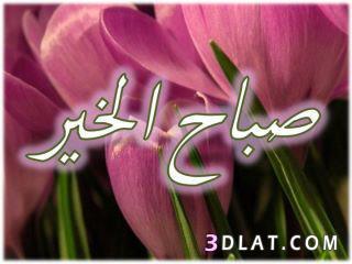 صور وكلمات صباح الخير 20160729 261