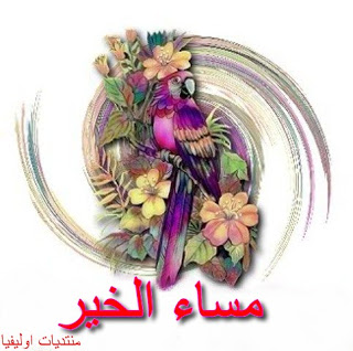 صور عبارة مساء الخير 31541 6