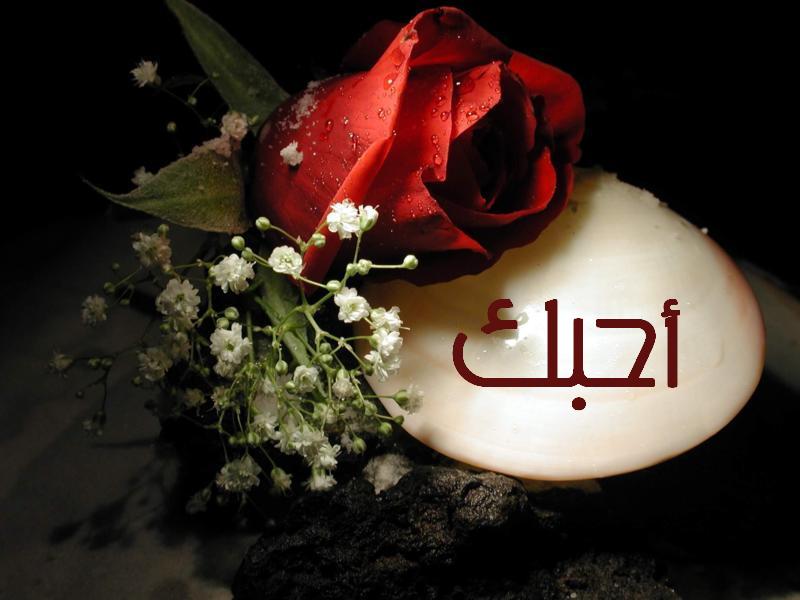 صور حلوه جدان 32007