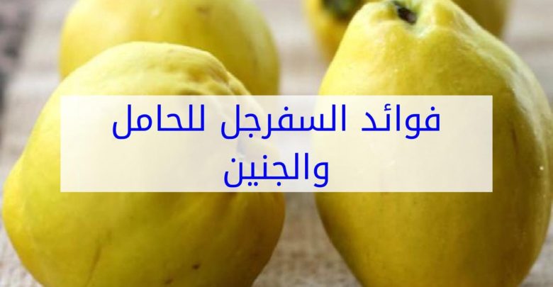 فوائد السفرجل للحامل , اهمية النباتات للام و الجنين