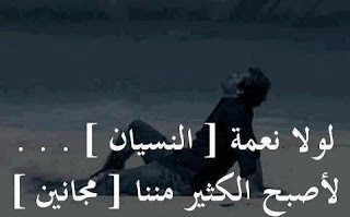 صوره عبارات حلوه - كلام رائع جدا وجميل 20160728 756