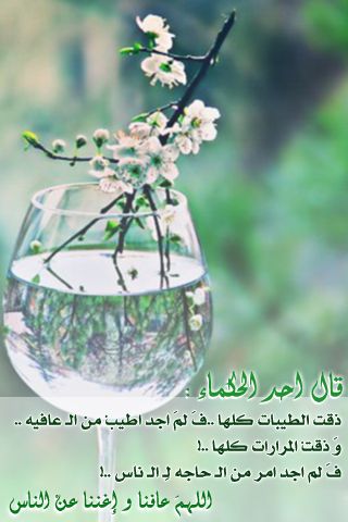 صور عليها حكمه 20160730 281