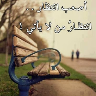 صور مكتوب فيها كلمات 31186 11