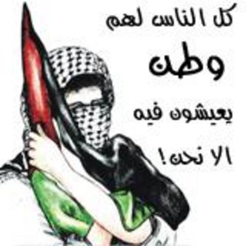 كلام عن فلسطين الحبيبة