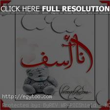 كلام اعتذار كلمات عذر 2019 20160730 1001