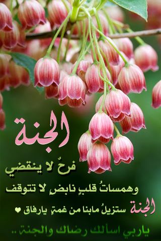 صور عليها حكمه 20160730 286