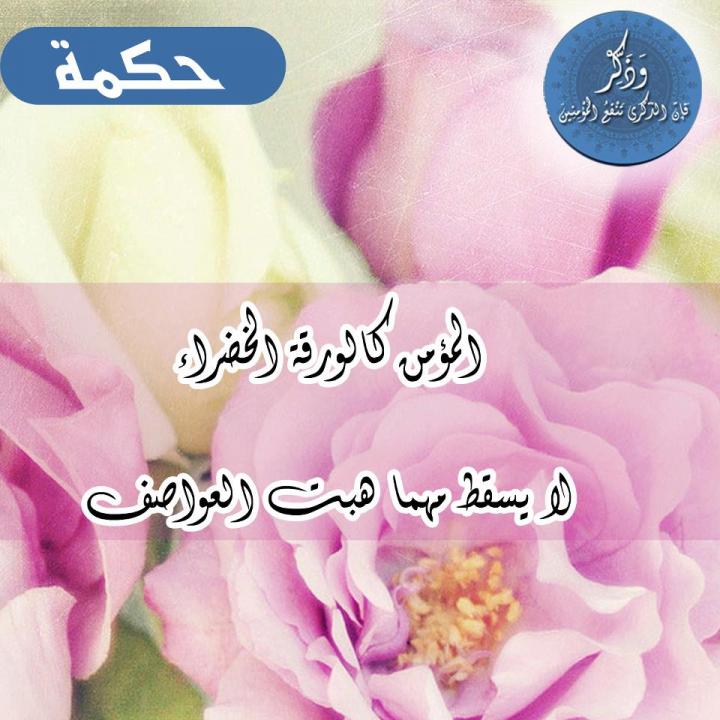 كلمات حلوة مع الصور 31587 10