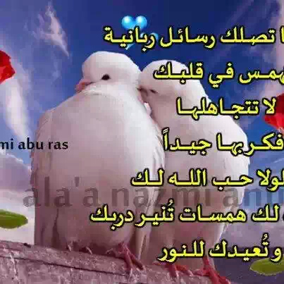 كلمات حلوة مع الصور 31587 9