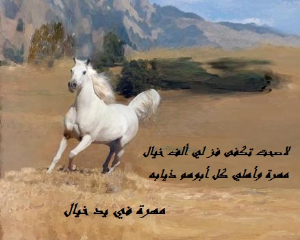 كل ما تحب أن تعرفه عن الخيل , كلمات عن الخيل