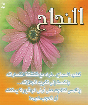 كلمات رائعة عن النجاح