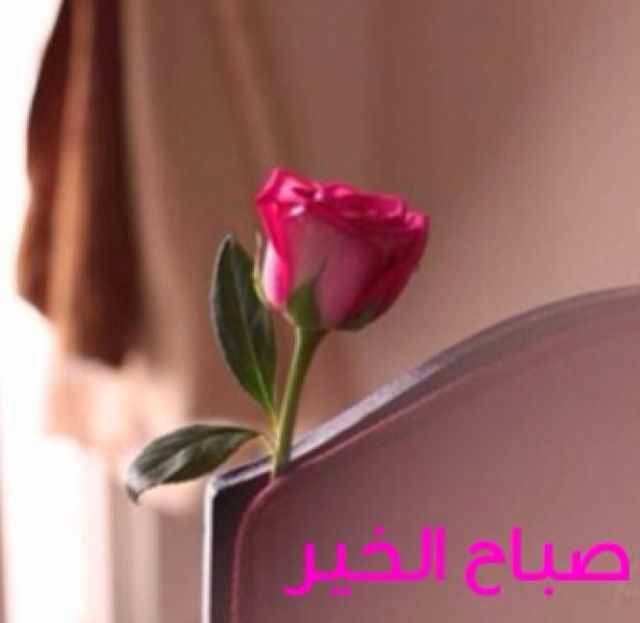 صور لعبارات صباح الخير 20160729 527