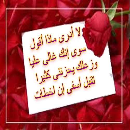 كلمات عن الاعتذار