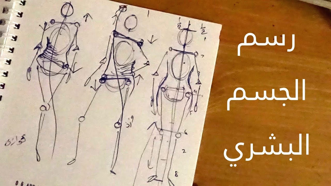 الاساسيات والرسم ويشمل