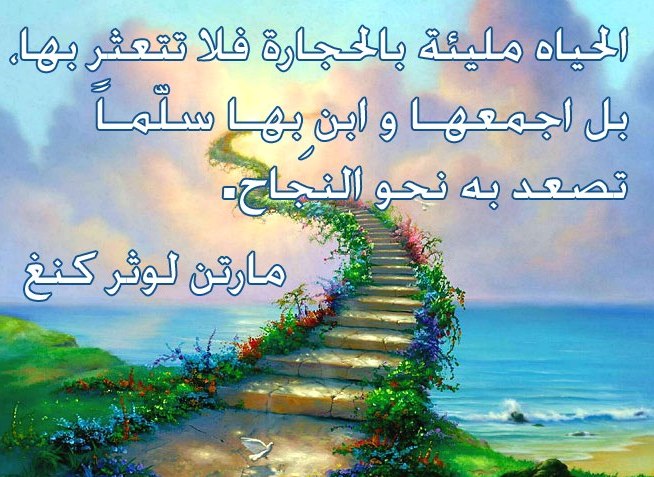 صور مع عبارة 31550 3