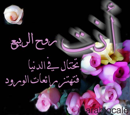 اجمل عبارات الصور - عباره فى اروع صوره عبره 30165 13