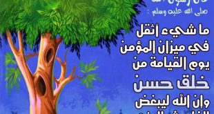 20160727 790 310x165 كلمه عن حسن الخلق