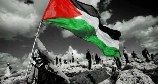 20160805 100 310x165 كلمات فلسطين عن رائعة