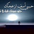 20160809 179 كلمات حبيبي اسف ازعجتك فؤاد جلال