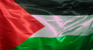 20160809 571 310x165 وطنية كلمات فلسطينية اغاني