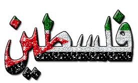  كلمات فلسطين انشوده امي
