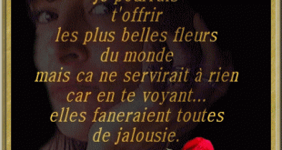 4488 310x165 كلمات في بالفرنسية الحب