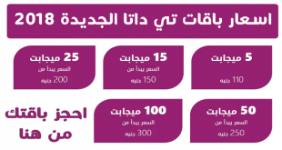 94510 1 310x165 مصر في شركات خدمات النت الانترنت اسعار اخر